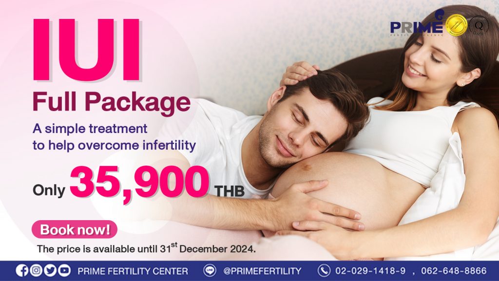 Iui Full Package Prime Fetility Clinic Iui Bangkok Iui Thailand