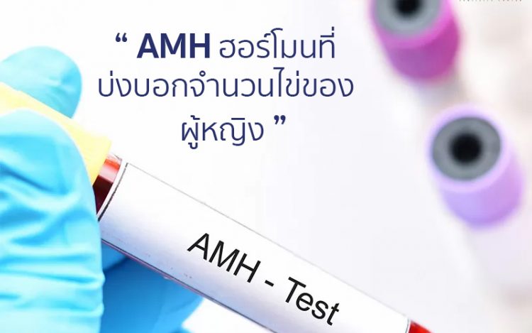 AMH Hormone,抗缪勒管激素