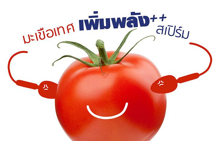 Healthy food,มะเขือเทศ,อาหารบำรุงสุขภาพ,营养食品