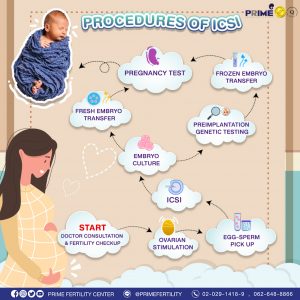 Procedure Of ICSI |Prime Fertility Center|Dr. Poonkiat|IVF/IUI|