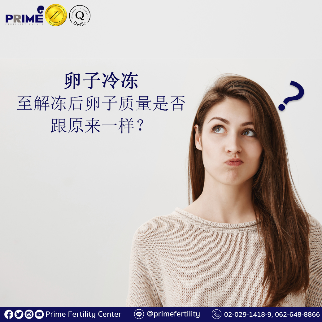 卵子冷冻至解冻后卵子质量是否跟原来一样 Prime 珍珠生殖中心