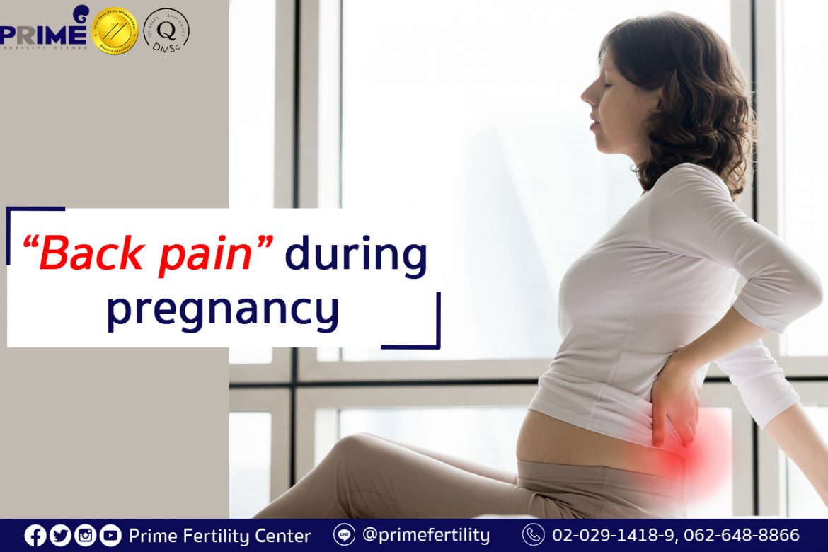 Back pain during pregnancy |Prime Fertility Clinic| Thailand IVF/ICSI/IUI