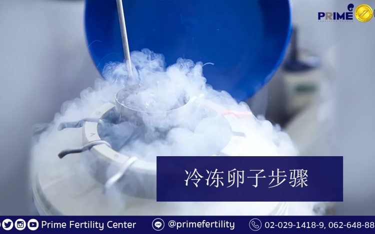 การฝากไข่แช่แข็ง, Egg Freezing,冷冻卵子