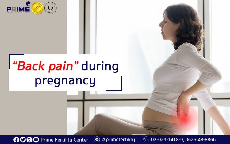 Back pain during pregnancy,อาการปวดหลังช่วงตั้งครรภ์,怀孕期间的背痛状况