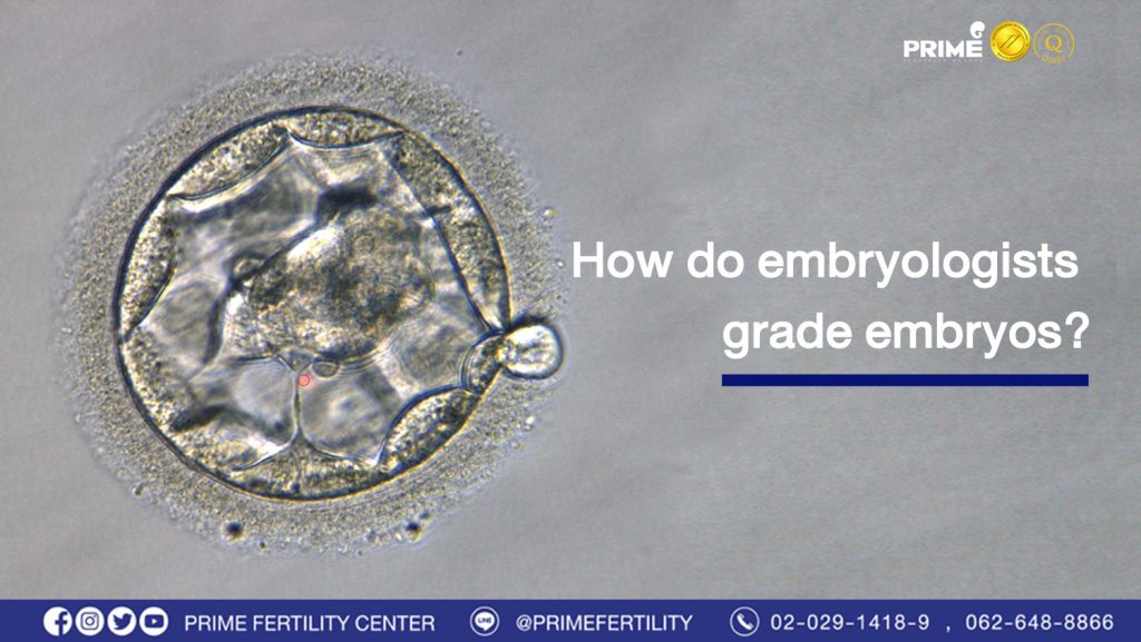 How do embryologists grade embryos? | Prime Fertility Center