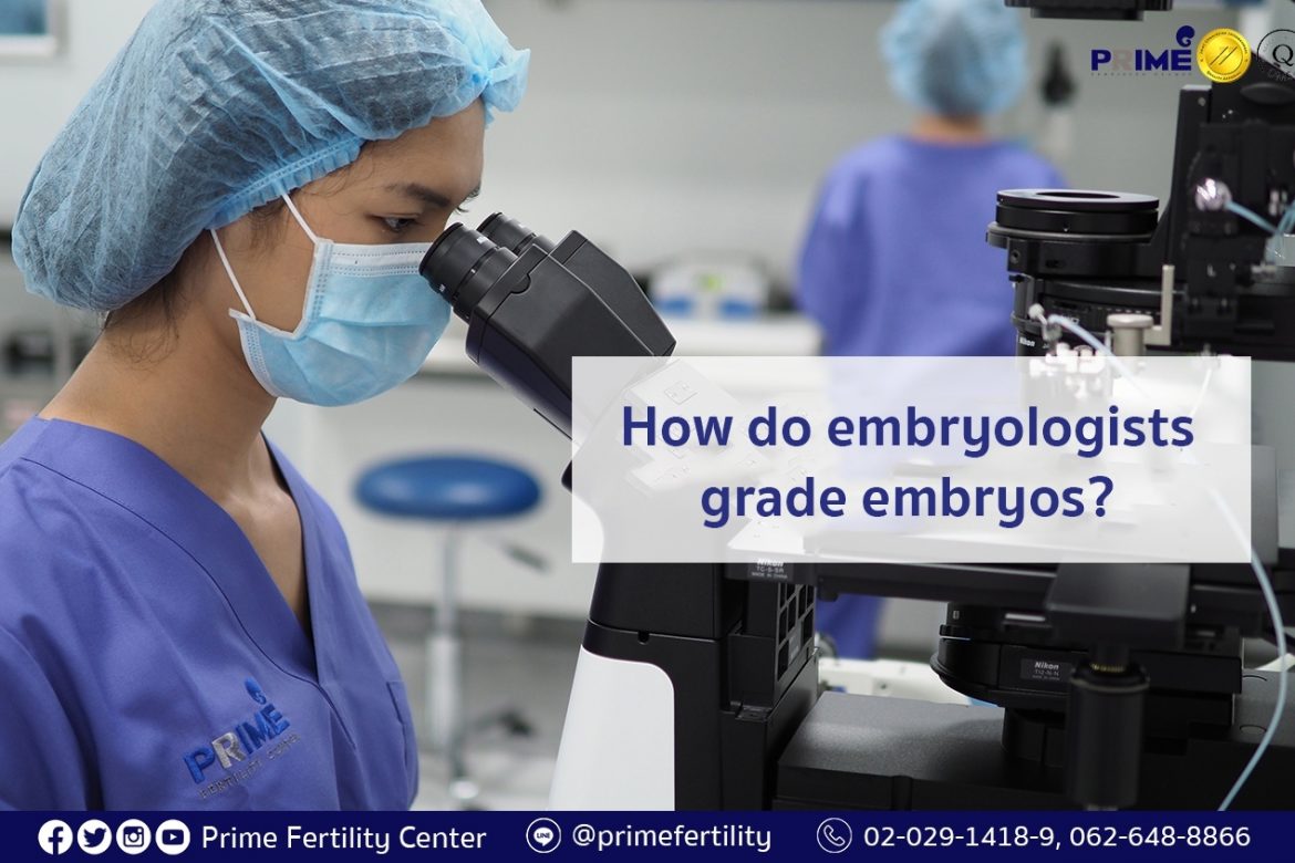 How Do Embryologists Grade Embryos? | Prime Fertility Center