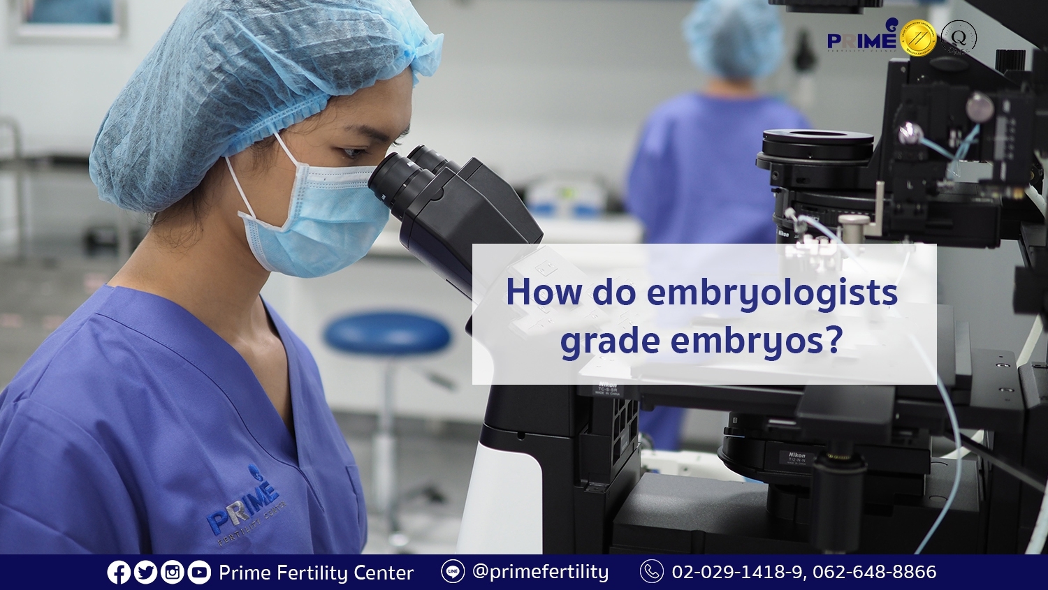 How Do Embryologists Grade Embryos? | Prime Fertility Center