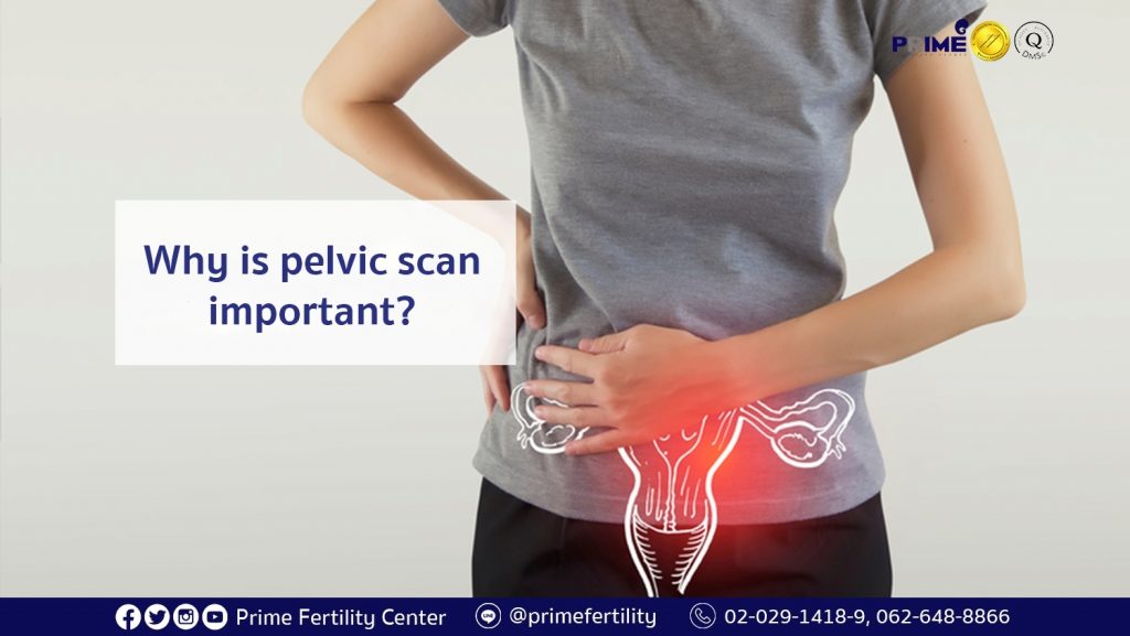 why-is-pelvic-scan-important-prime-fertility-center