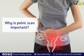 Why is pelvic scan important?| Prime Fertility Center