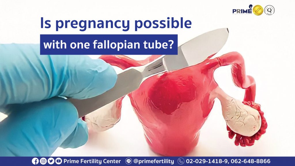 is-pregnancy-possible-with-one-fallopian-tube-prime-fertility-clinic