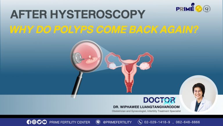 Ivf Thailand After Hysteroscopy Why Do Polyps Come Back Again