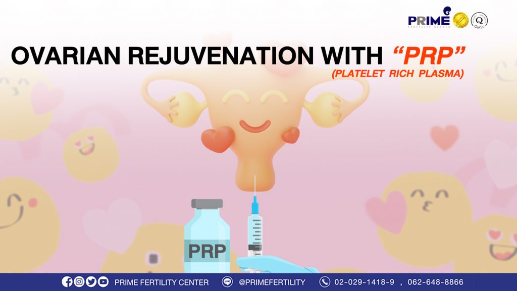 Ovarian Rejuvenation With “prp” Fertility Bangkok Ivf Thailand