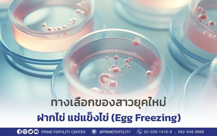 ทางเลือกของสาวยุคใหม่ ฝากไข่ แช่แข็งไข่ (Egg Freezing)