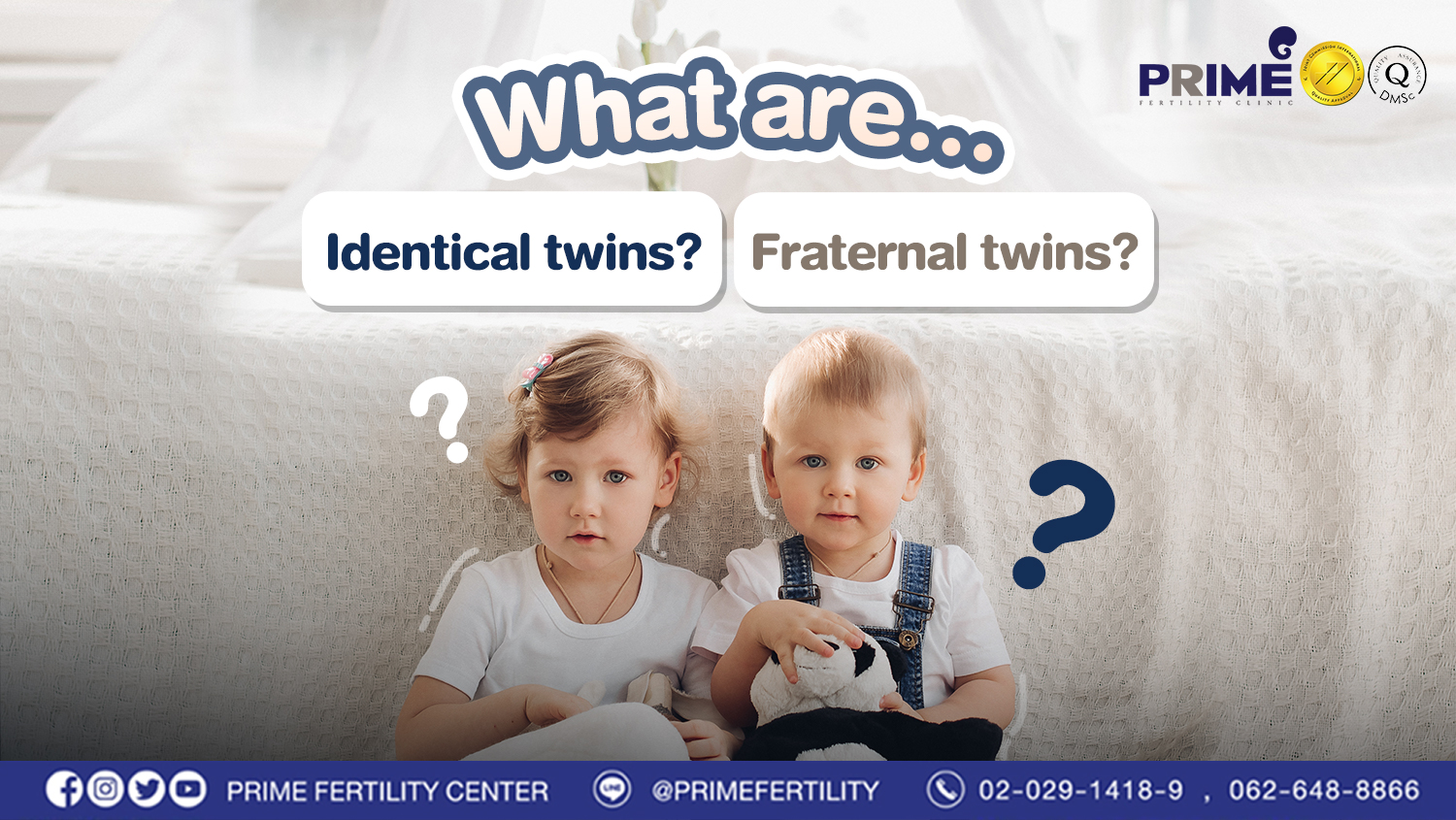 What Are Identical Twins Or Fraternal Twins? 