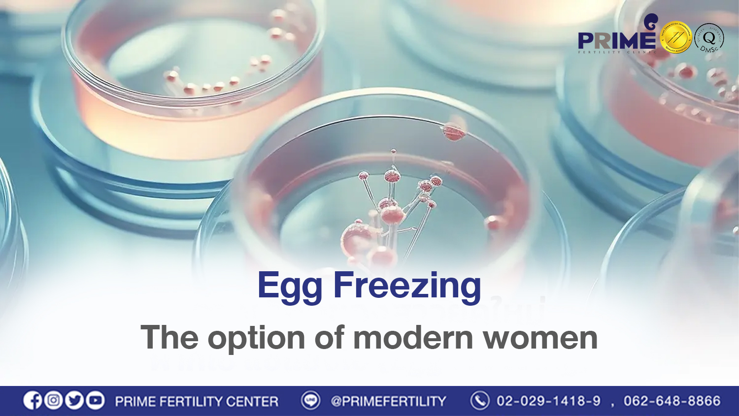 Egg Freezing, the option of modern women
