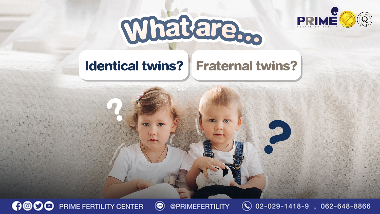 What are identical twins or fraternal twins?