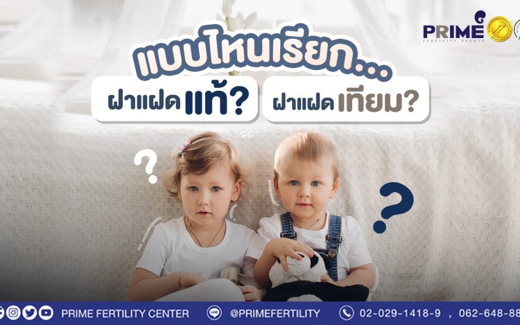 แบบไหนเรียก... ฝาแฝดแท้? ฝาแฝดเทียม?