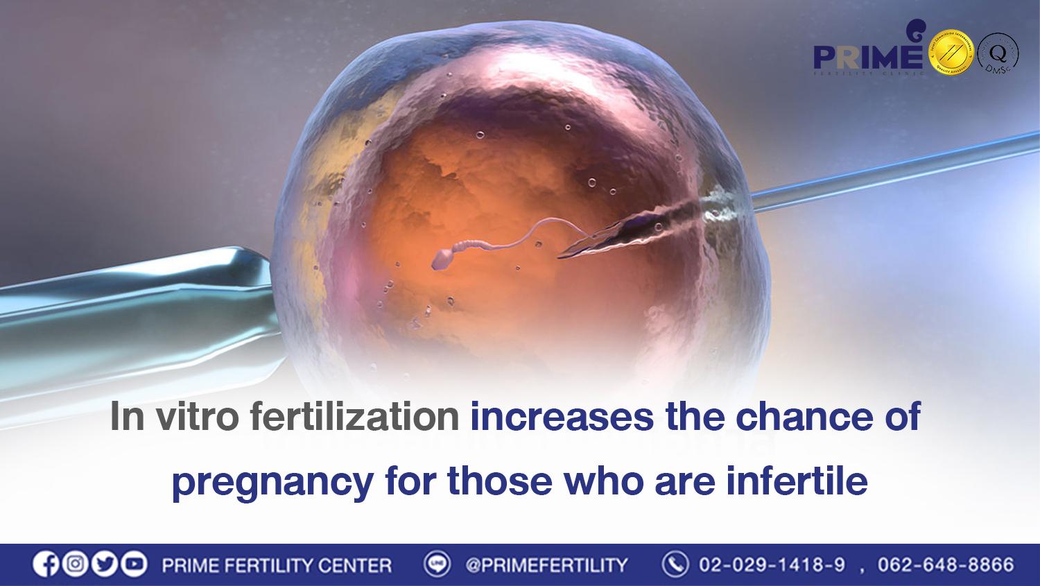 In vitro fertilization increases the chance of pregnancy for those who are infertile