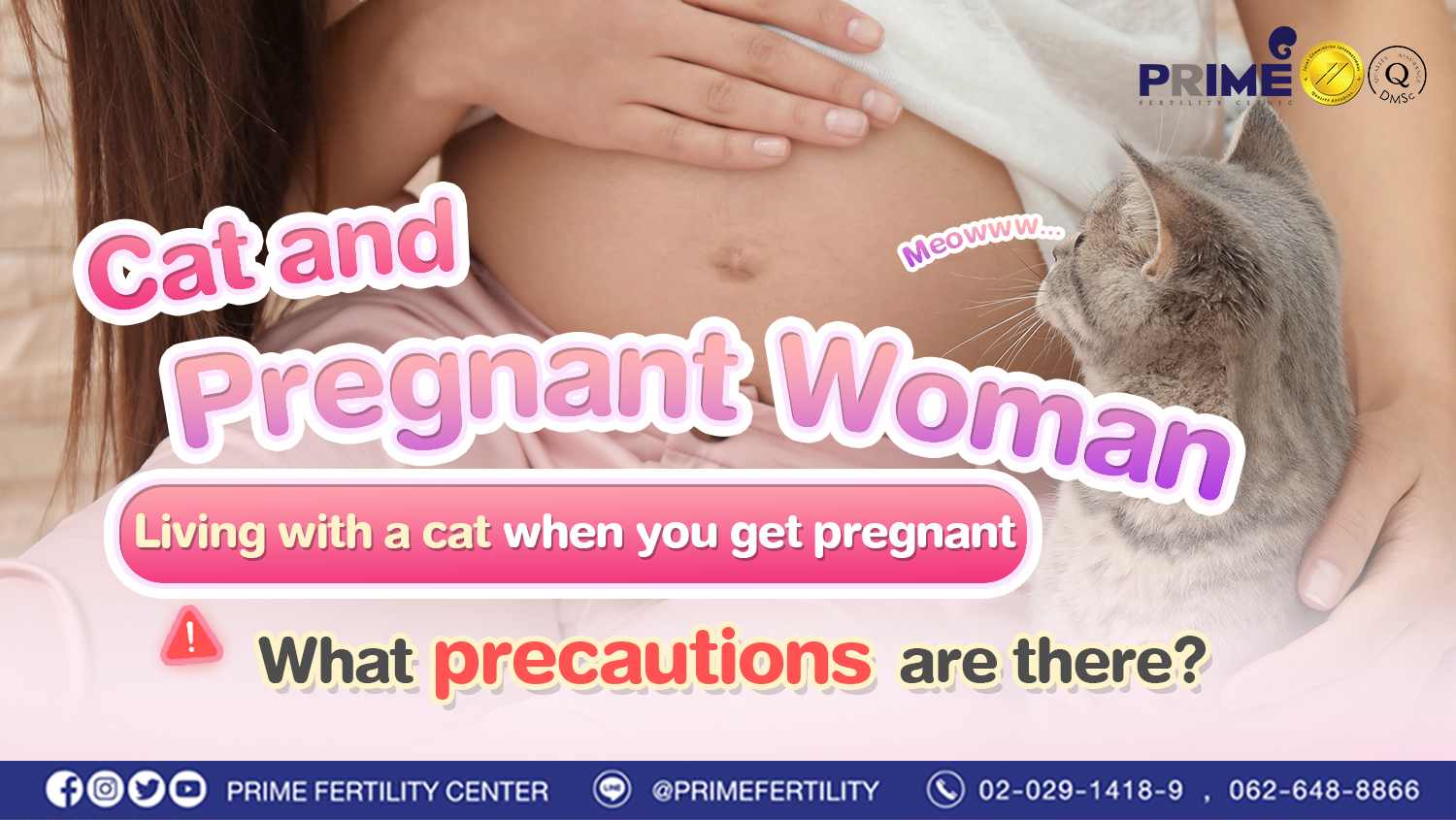 Cat and Pregnant Woman Must read this if you have cat!